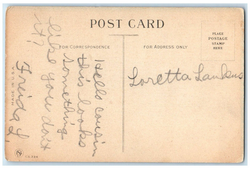 c1910's Easter Cute Girl Dress Ribbon Chicks Lilies Flowers Antique Postcard