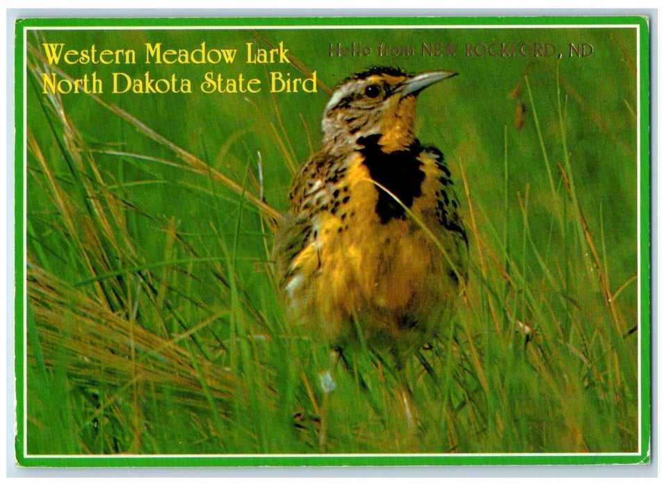 1993 Western Meadow Lark Official Bird New Rockford North Dakota ND Postcard