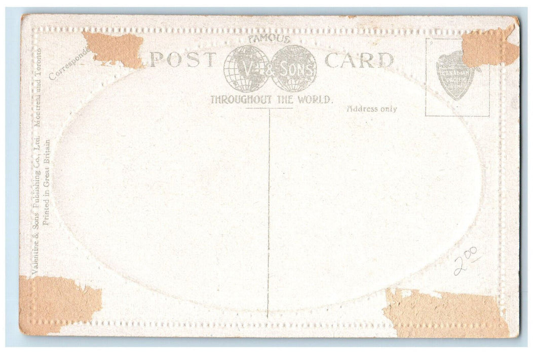 c1910 Elevators Fort William Ontario Canada Valentine & Sons Embossed Postcard