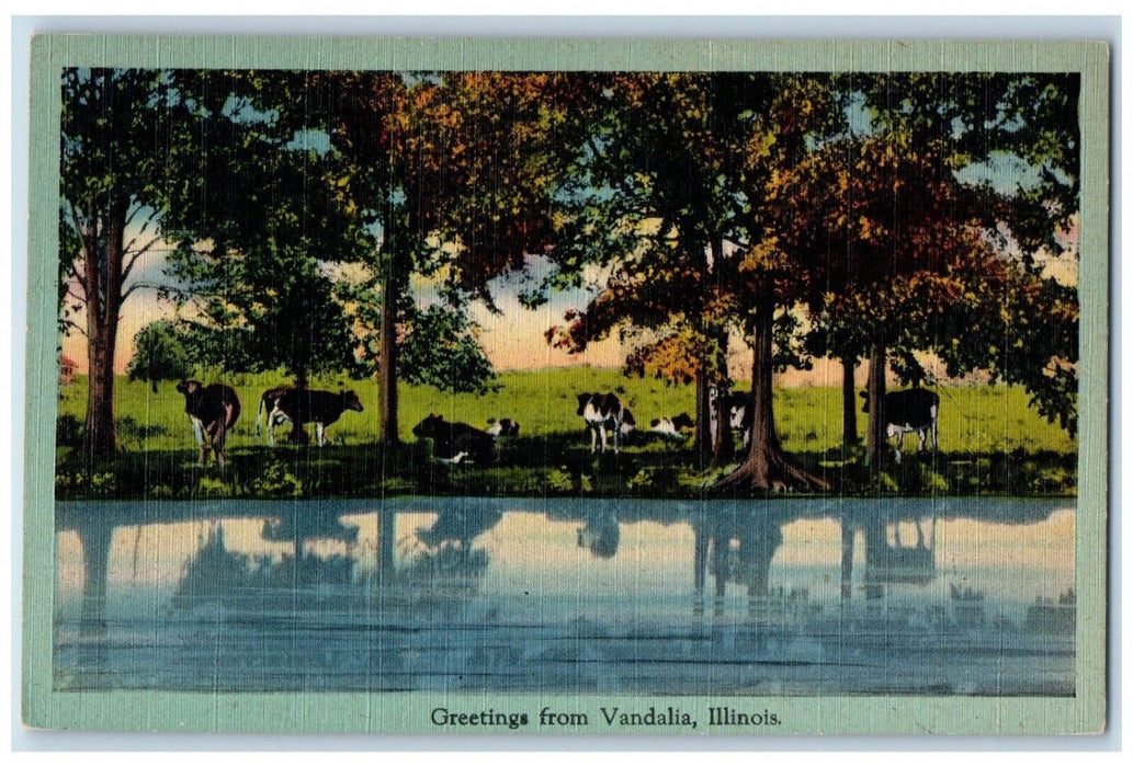 c1940 Greetings From Vandalia Illinois IL Banner Vintage Cows Animals Postcard