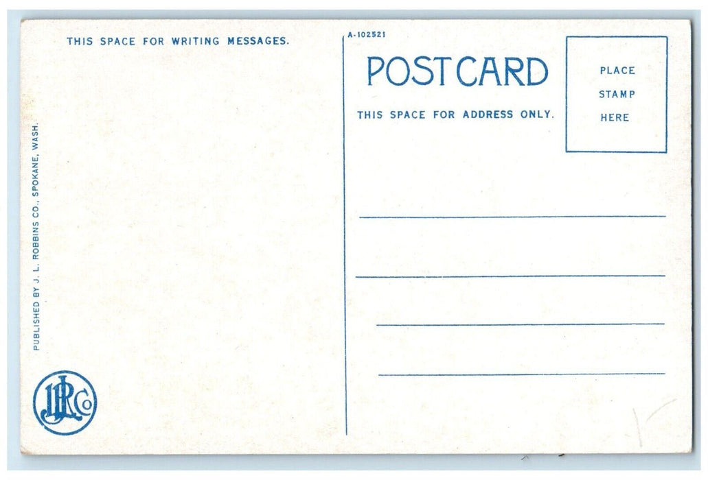 c1920 Aerial View Cloud's Peak Mountain Trees Wyoming Vintage Antique Postcard