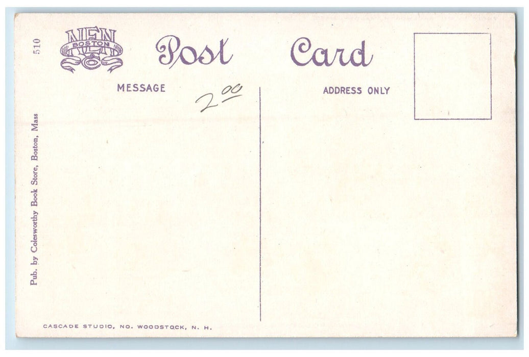 c1920s Alpine House No. Exterior Woodstock New Hampshire NH Unposted  Postcard