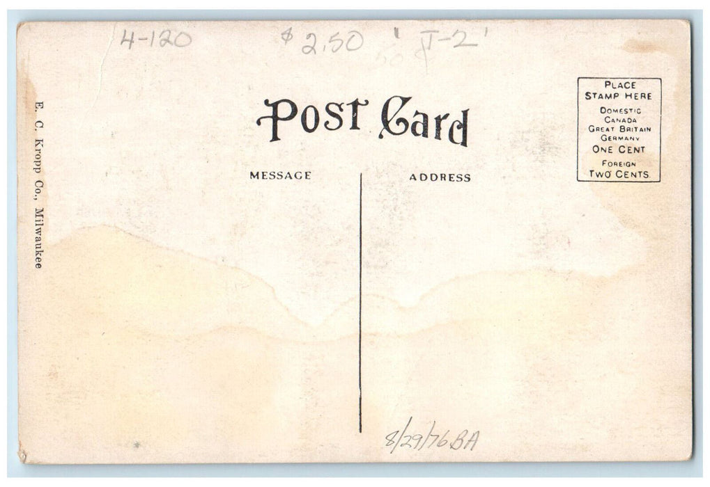 View Of City Garden Park Tree-lined Marion Iowa IA Antique Unposted Postcard