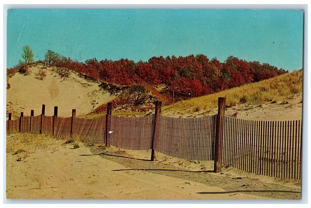 c1950 Greetings From Michigan City Fence Sand Fall Color Indiana IN Postcard