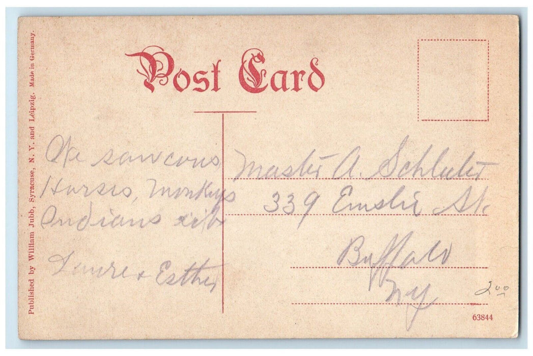 c1910's The Outlet At Long Branch Boats Syracuse New York NY Antique Postcard