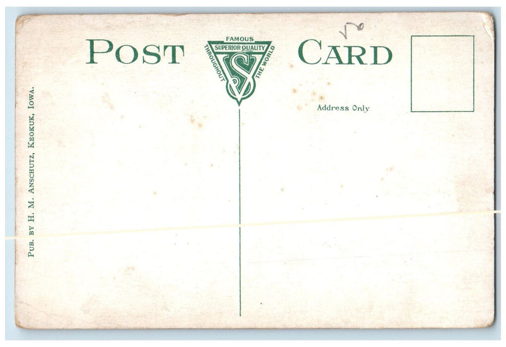 View Of U.S. Government Lock And Dry Dock Keokuk Iowa IA Vintage Postcard