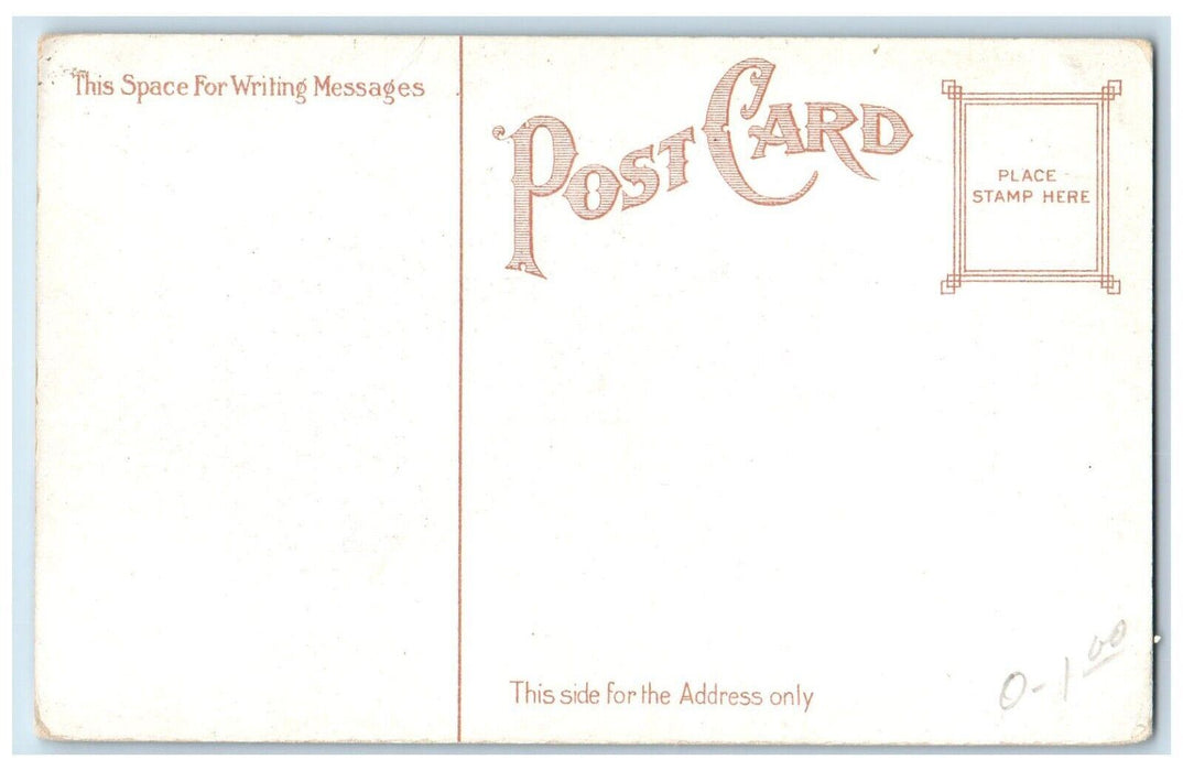 c1910's View Of Largest Solid Stone Mountain Atlanta Georgia GA Antique Postcard