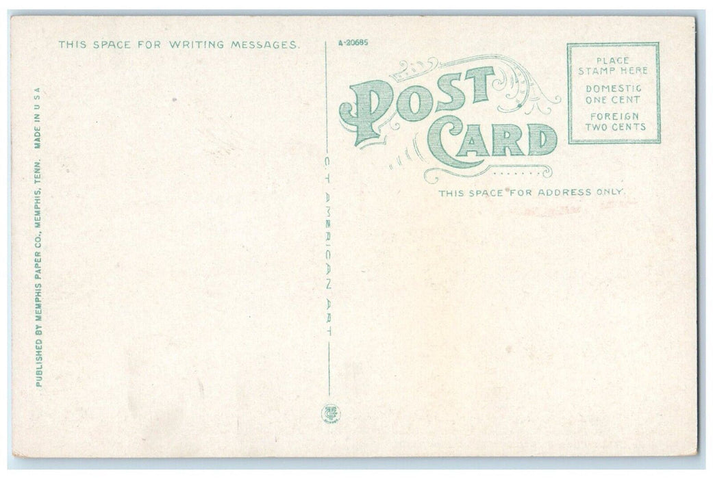 c1930's The Levee From The Bluff Memphis Tennessee TN, Steamer Ship Postcard