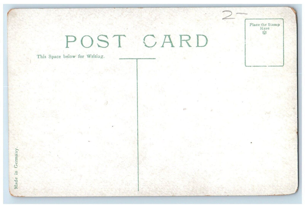 c1910's The Rocks Showing Senator Lodge's Residence Nahant MA Antique Postcard