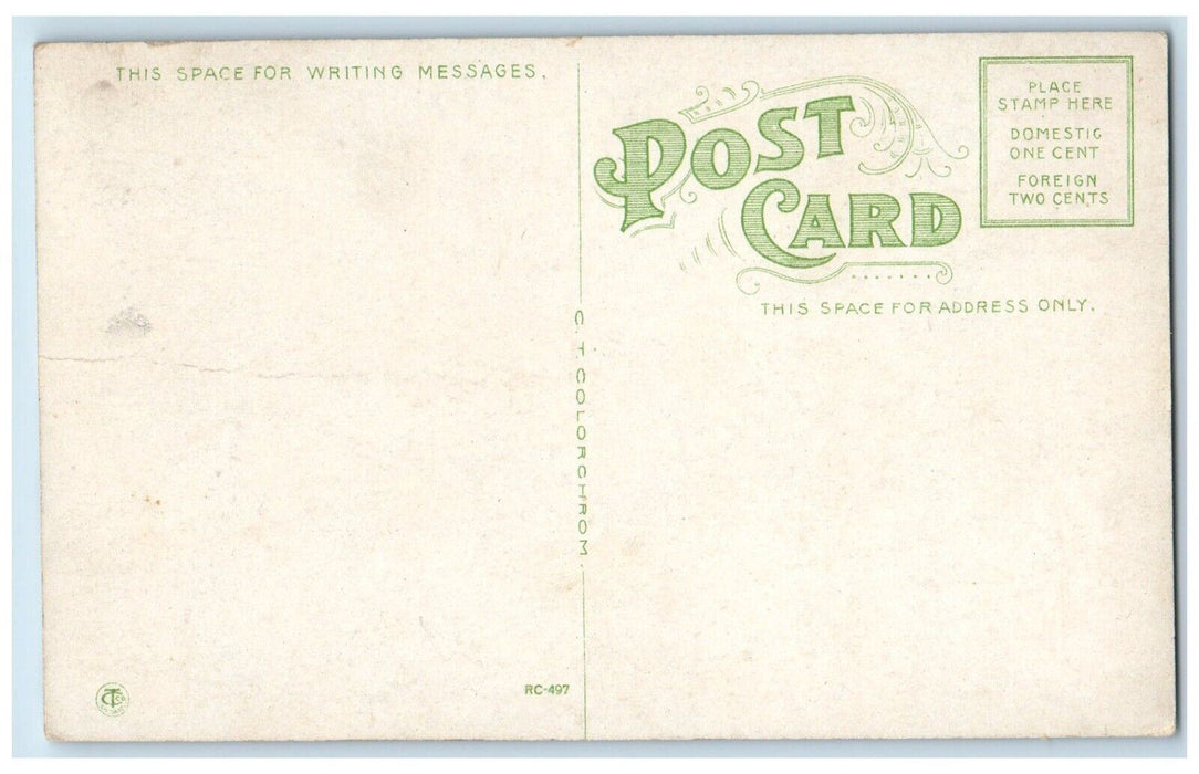c1930's Ice Crushing Car Ferry Chief Wawatam Straits Of Mackinac MI Postcard