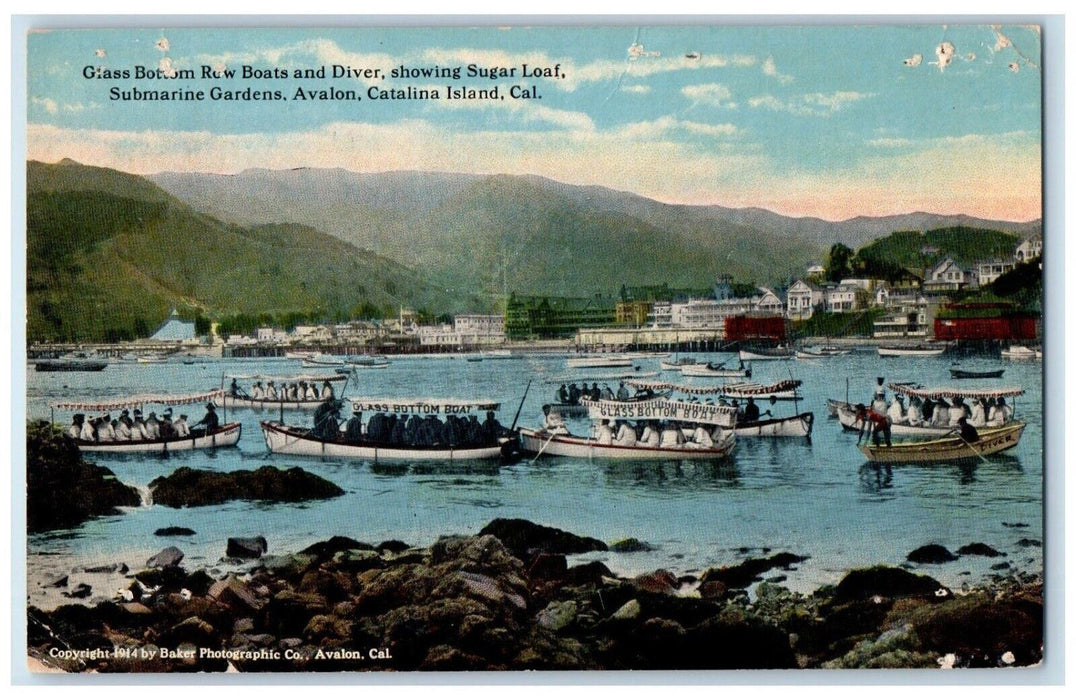 c1930's Glass Bottom Row Boats And Diver Sugar Loaf Catalina Island CA Postcard