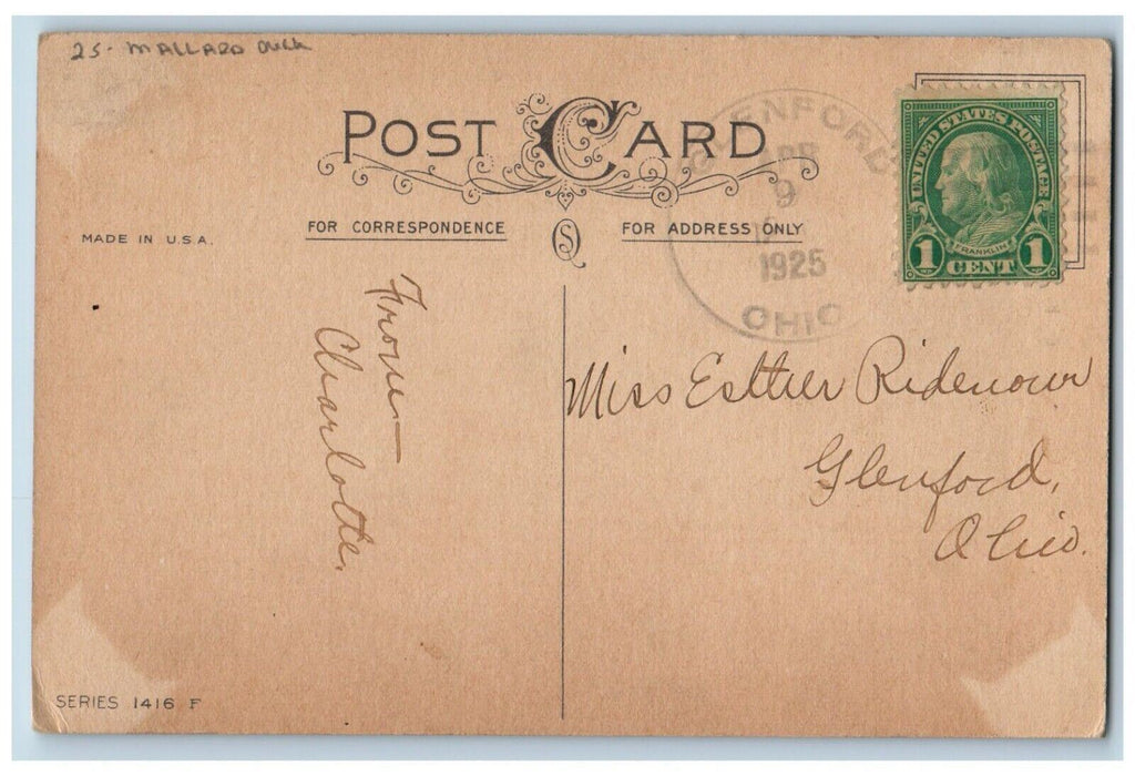 1925 Easter Greeting Little Girl Mallard Ducks Hatched Egg Glenford OH Postcard
