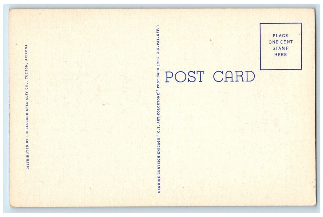 c1940 Looking East Congress Street Road Tucson Arizona Vintage Antique Postcard