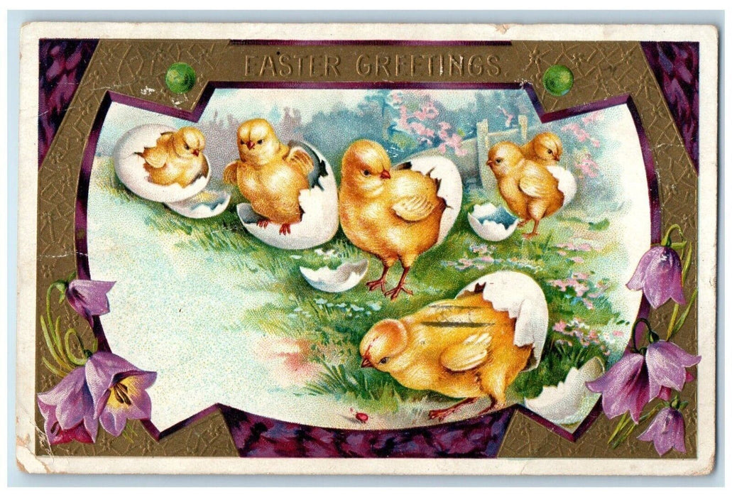 1909 Easter Greetings Hatched Eggs Chicks Purple Flowers Chicago IL Postcard