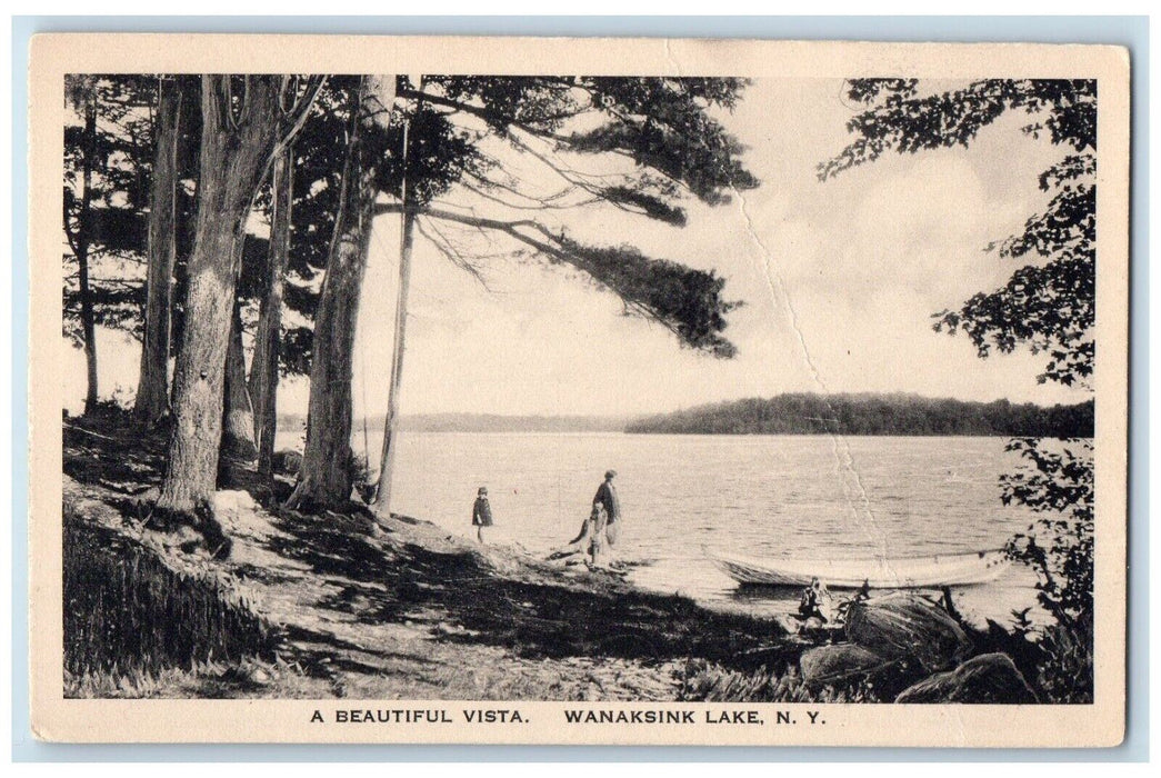 c1910's View A Beautiful Vista Boat Wanaksink Lake New York NY Antique Postcard