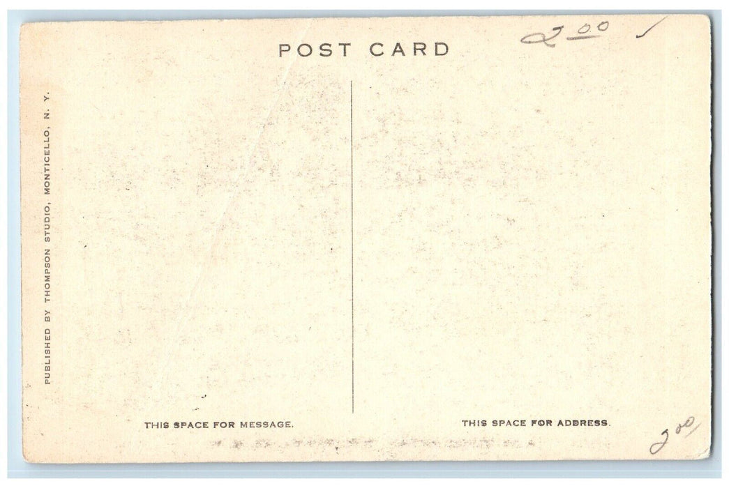 c1910's View A Beautiful Vista Boat Wanaksink Lake New York NY Antique Postcard