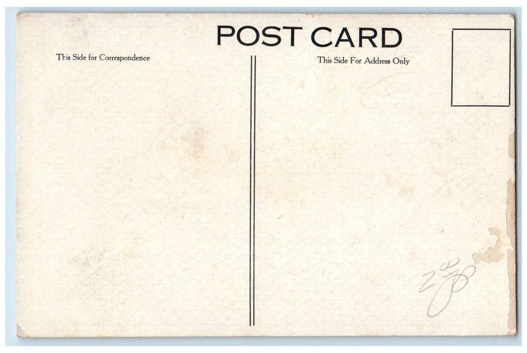 c1910 Everything Lovely and the Goose Hangs High Hot Springs Arkansas Postcard