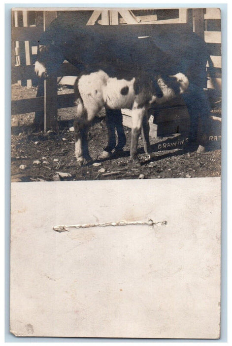 c1905 Drawing Rations Calf Fort Clark Bracketville Texas TX RPPC Photo Postcard