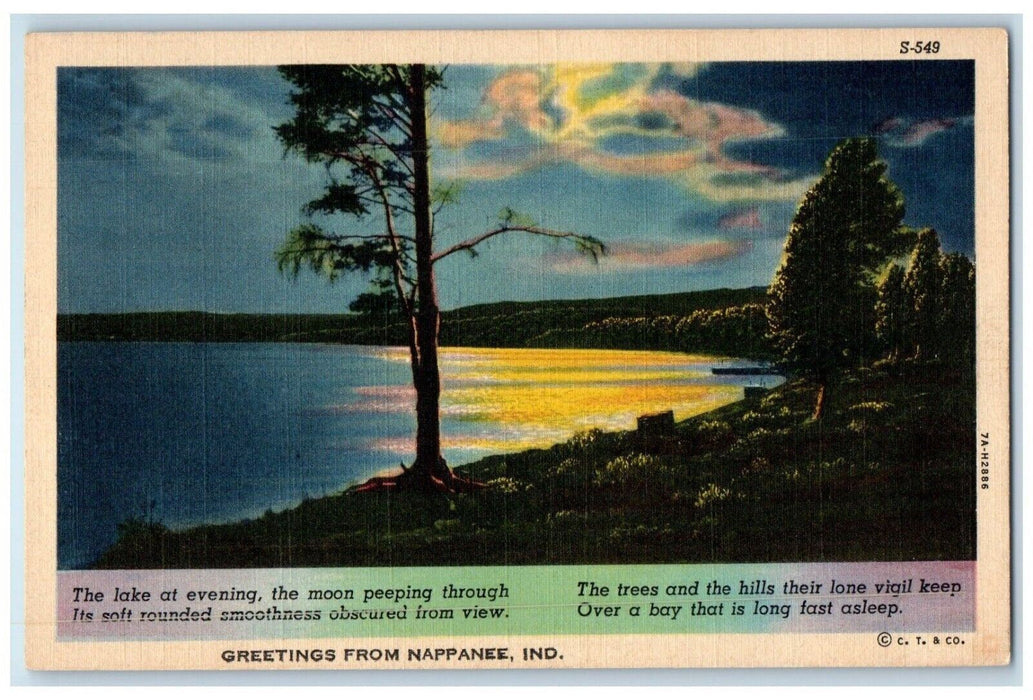 c1940 Greetings From Nappanee Indiana IN Banner Night Scene Lake Ocean Postcard