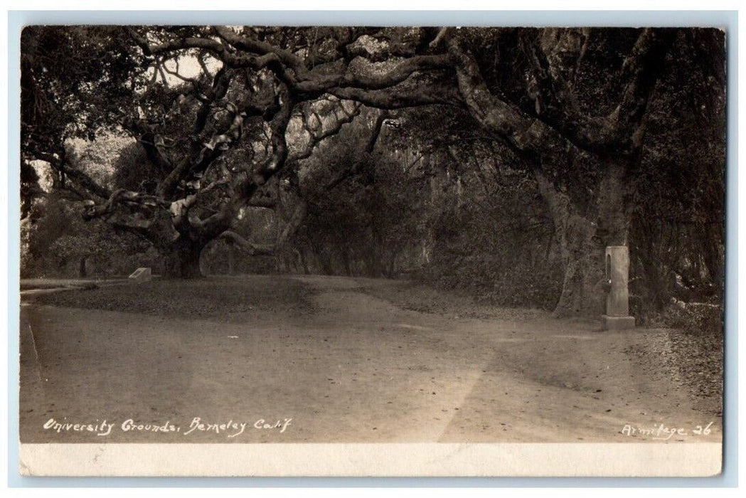 1909 University Grounds Scene Berkeley California CA RPPC Photo Postcard