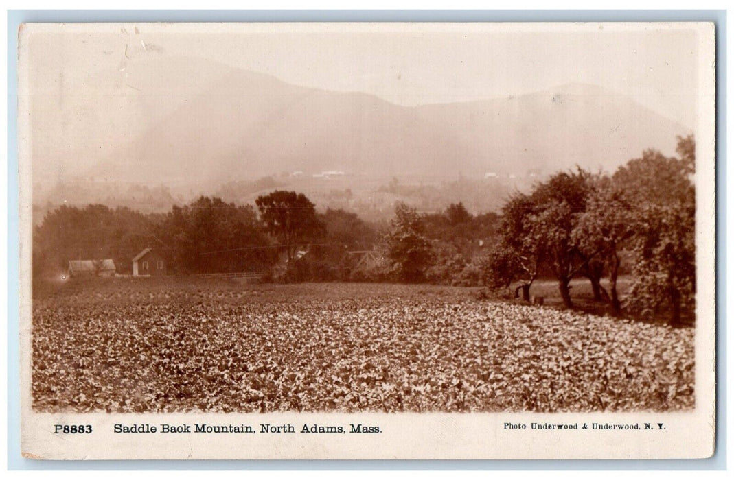 c1910's Saddle Baok Mountain North Adams Massachusetts MA RPPC Photo Postcard