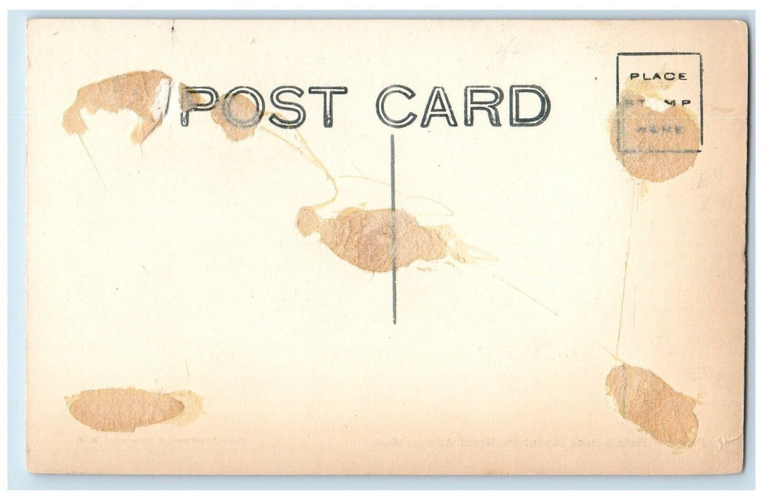 c1910's Saddle Baok Mountain North Adams Massachusetts MA RPPC Photo Postcard