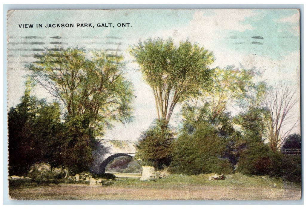 1909 View in Jackson Park Galt Ontario Canada Antique Posted Postcard