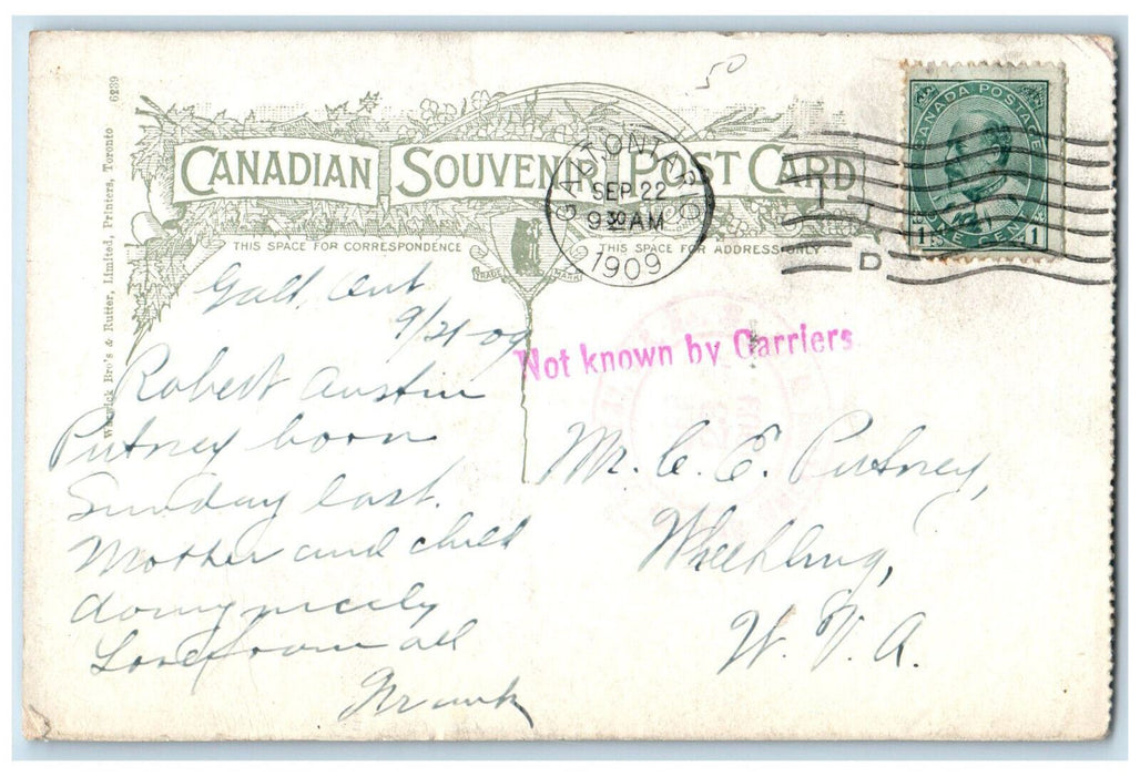 1909 View in Jackson Park Galt Ontario Canada Antique Posted Postcard