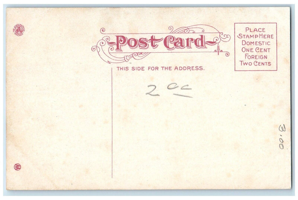 c1910 Exterior View Academy Sacred Heart Building Street Omaha Nebraska Postcard