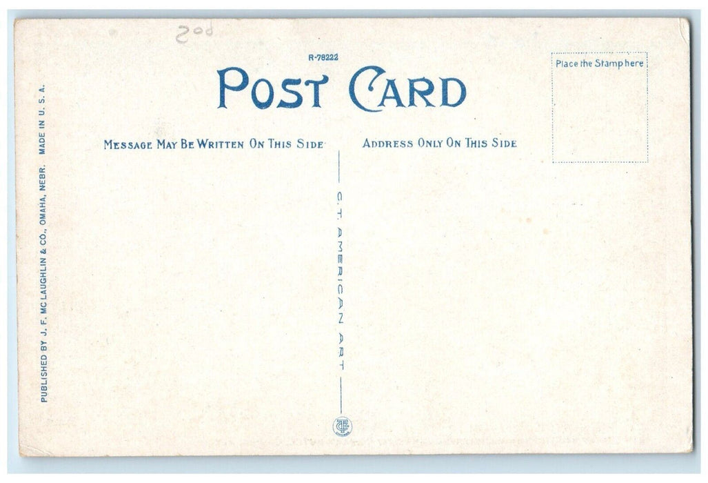 1910 16th Street Harney Showing New Conant Hotel Omaha Nebraska Vintage Postcard