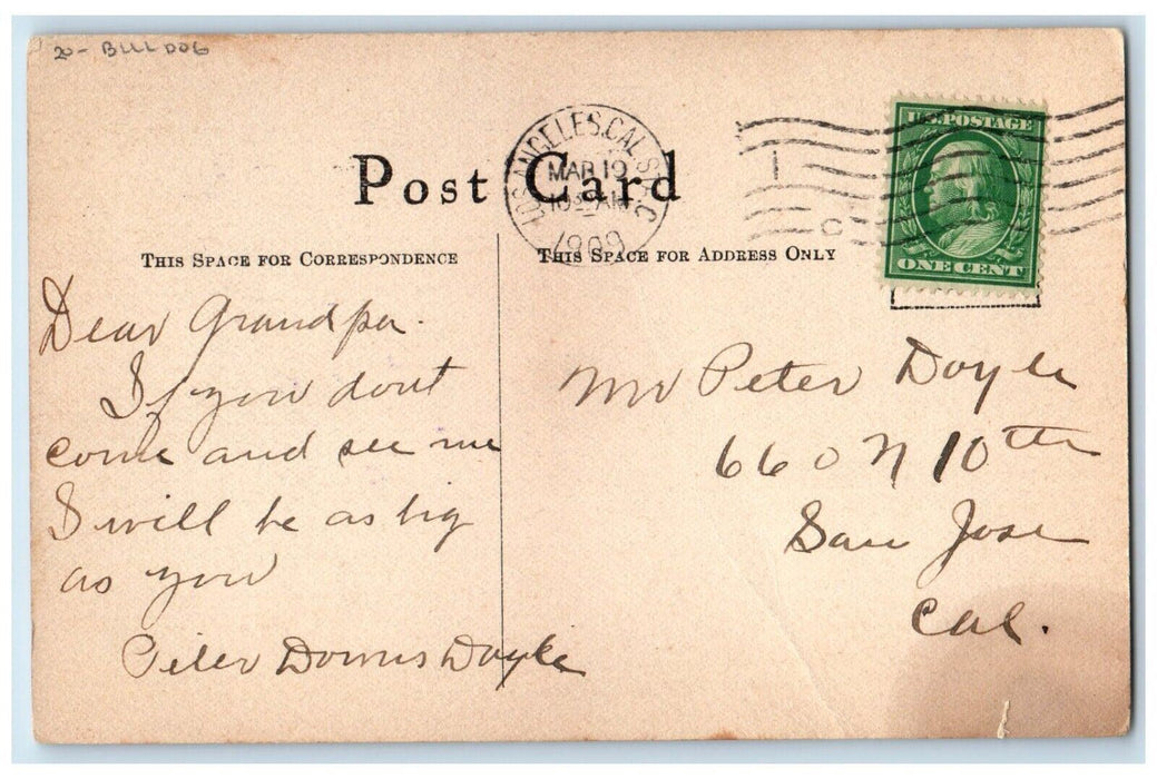 1909 Little Boy Crying Bulldog Both Are Bully Los Angeles California CA Postcard