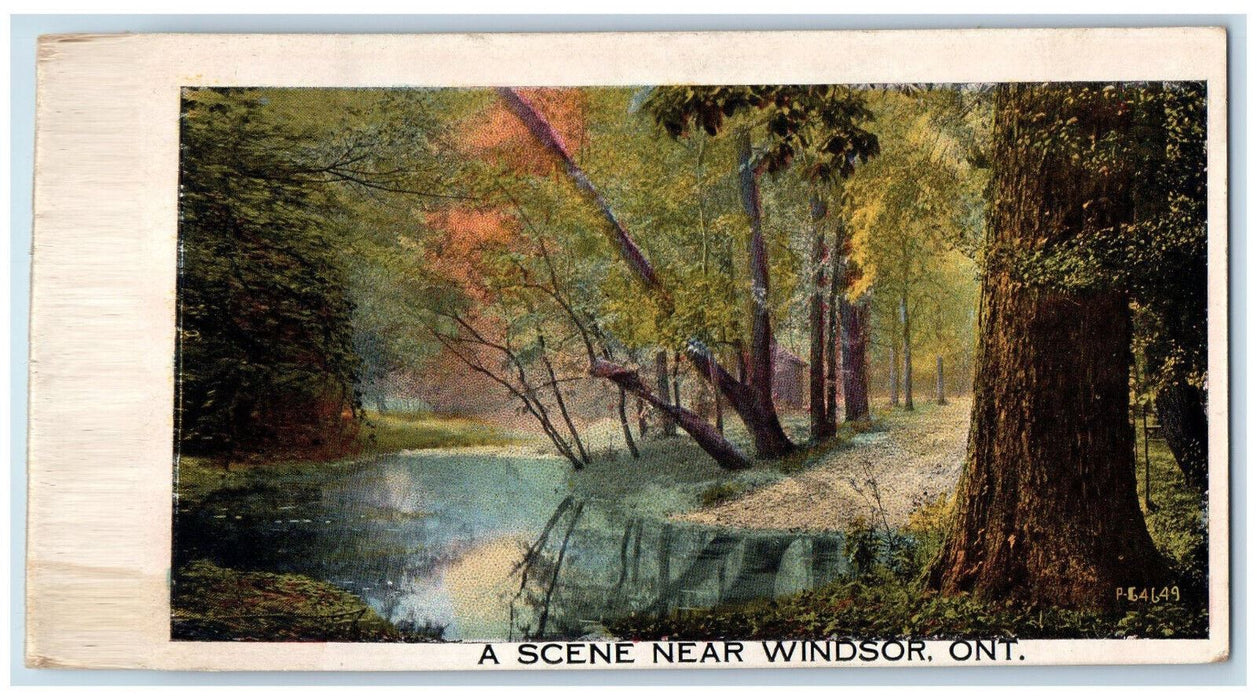 c1910 River and Greenery Scene Near Windsor Ontario Canada Unposted Postcard