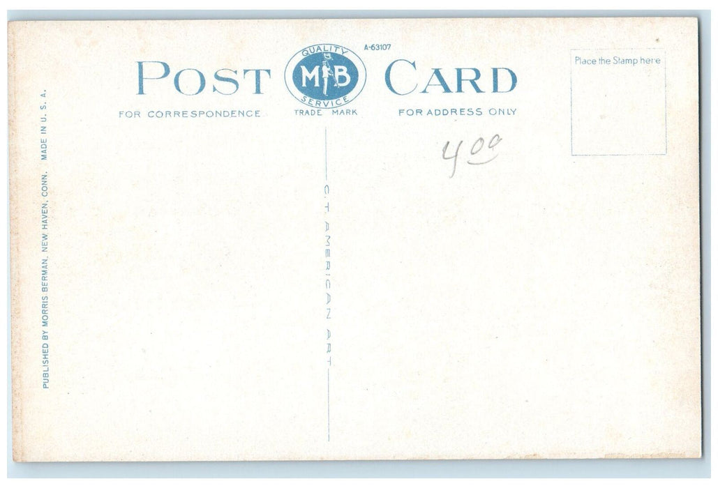 c1920's Bird's Eye View Main Street Classic Cars Railway Bridgeport CT Postcard