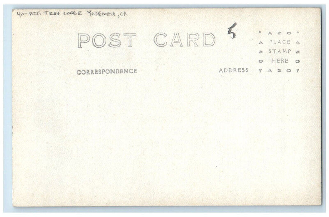 c1910's Big Tree Lodge Yosemite California CA Antique RPPC Photo Postcard