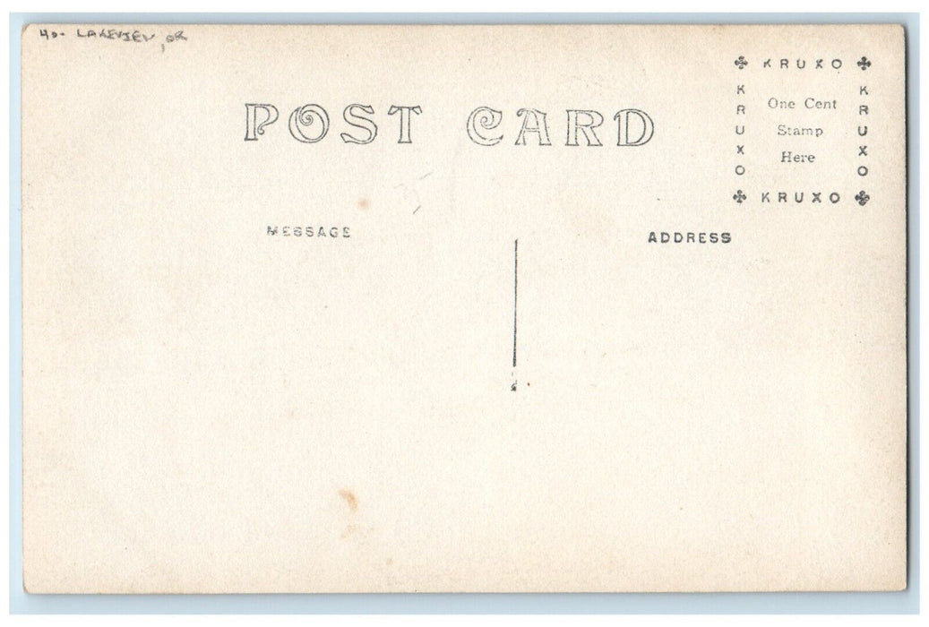 c1910's Bird's Eye View Of Lakeview Oregon OR Antique RPPC Photo Postcard
