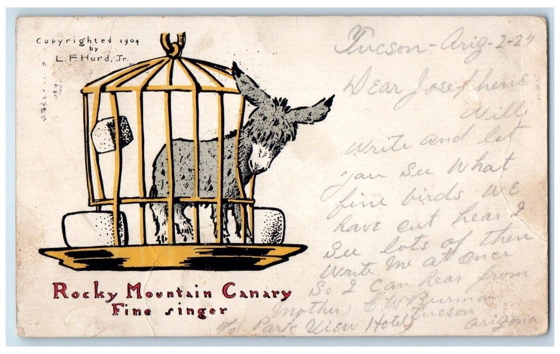 1905 Rocky Mountain Canary Fine Singer Cage Tucson Arizona AZ Antique Postcard