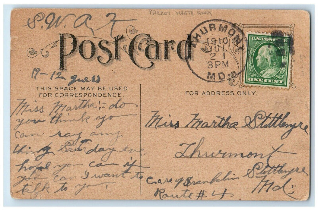 1910 Man And Parrot Write Away Thurmont Maryland MD Posted Antique Postcard