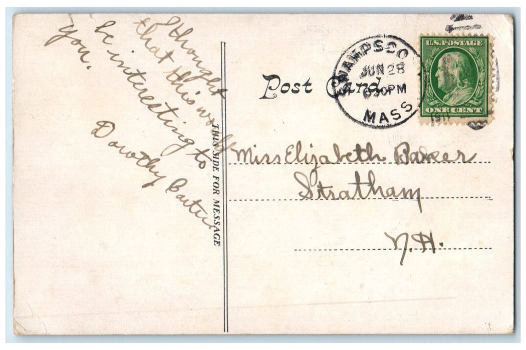 1911 The Old Witch Trees on Gallows Hill Salem Massachusetts MA Postcard