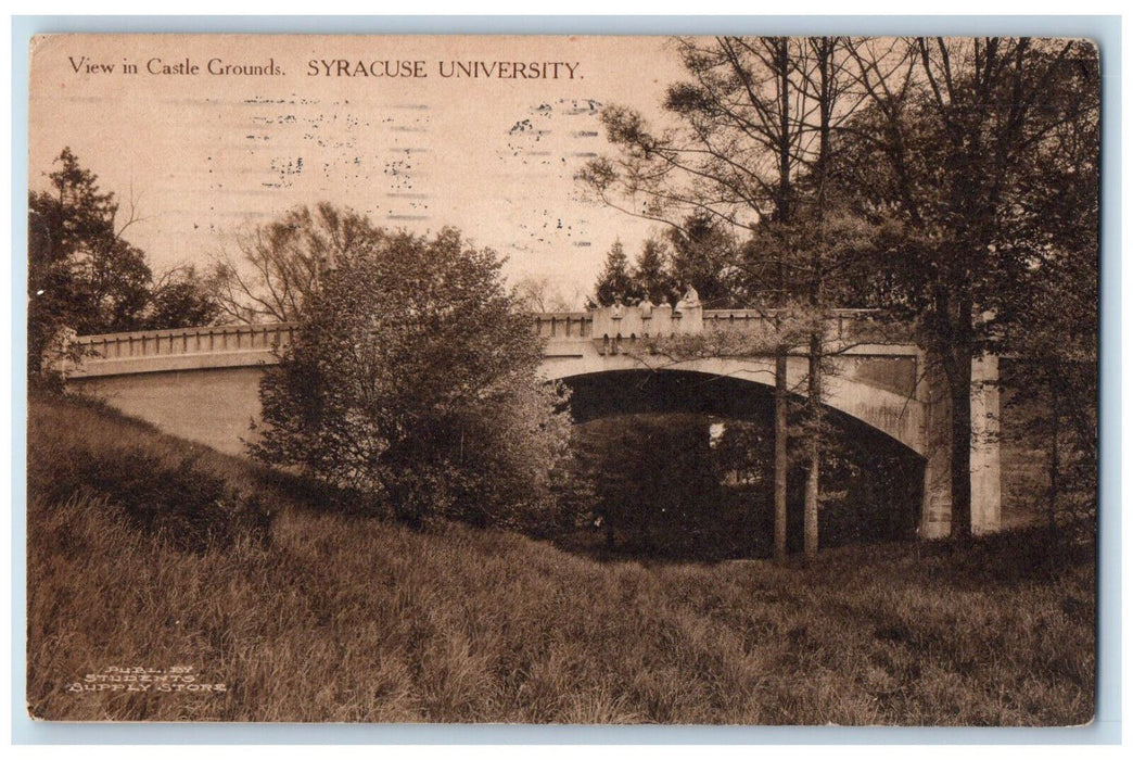 1916 View in Castle Grounds Syracuse University Syracuse New York NY Postcard
