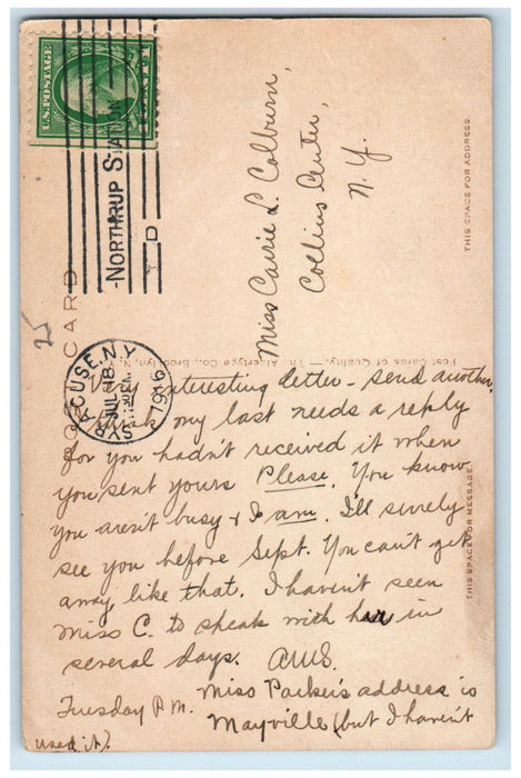 1916 View in Castle Grounds Syracuse University Syracuse New York NY Postcard