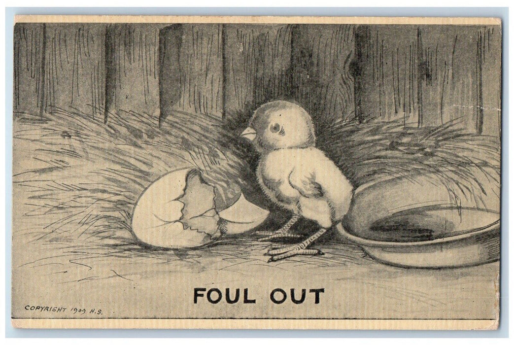 1910 Easter Hatched Egg Chick Nest Foul Out Fowler Indiana IN Antique Postcard