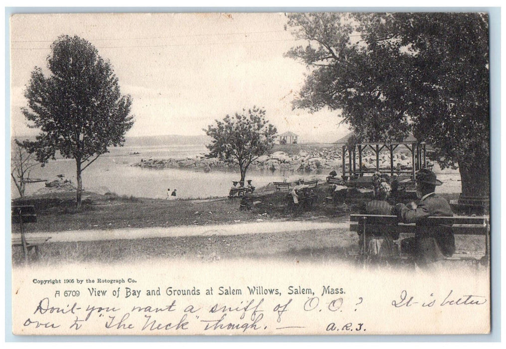 1906 View of Bay and Grounds at Salem Willows Salem Massachusetts MA Postcard