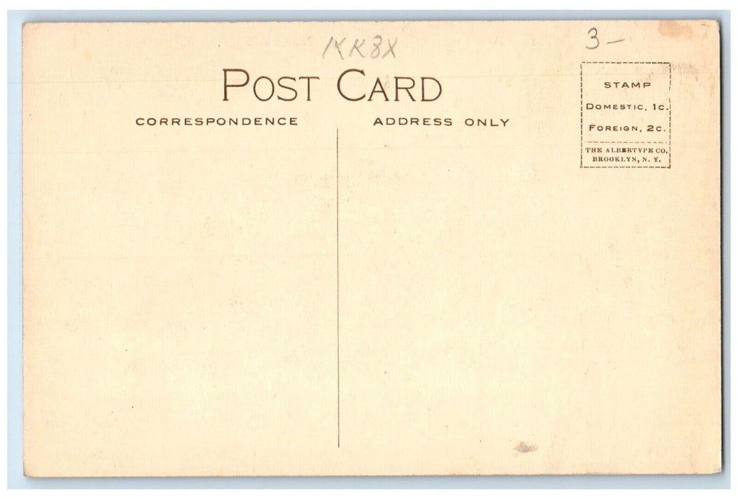 c1910 Narrows Brige Chocorua New Hampshire NH Homes Studio Unposted Postcard