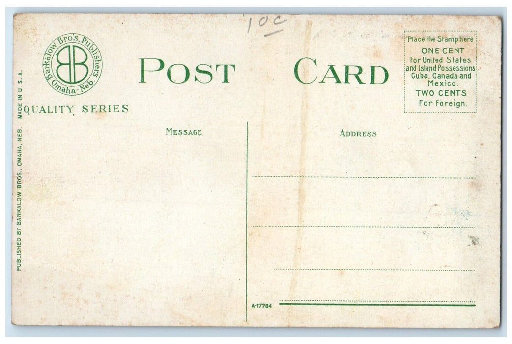 c1910 Birds Eye View Omaha Buildings Nebraska Antique Vintage Unposted Postcard