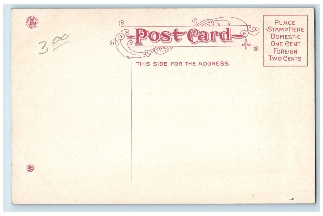 1910 16th Street Looking North Omaha Nebraska Streetcars Road Buildings Postcard