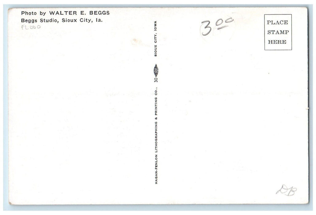 1952 Aerial View South Sioux City Nebraska NE Vintage Antique Unposted Postcard