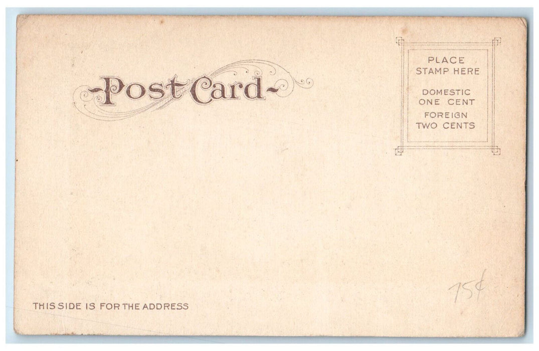 Hearst Greek Theatre University Of California Berkeley CA Antique Postcard