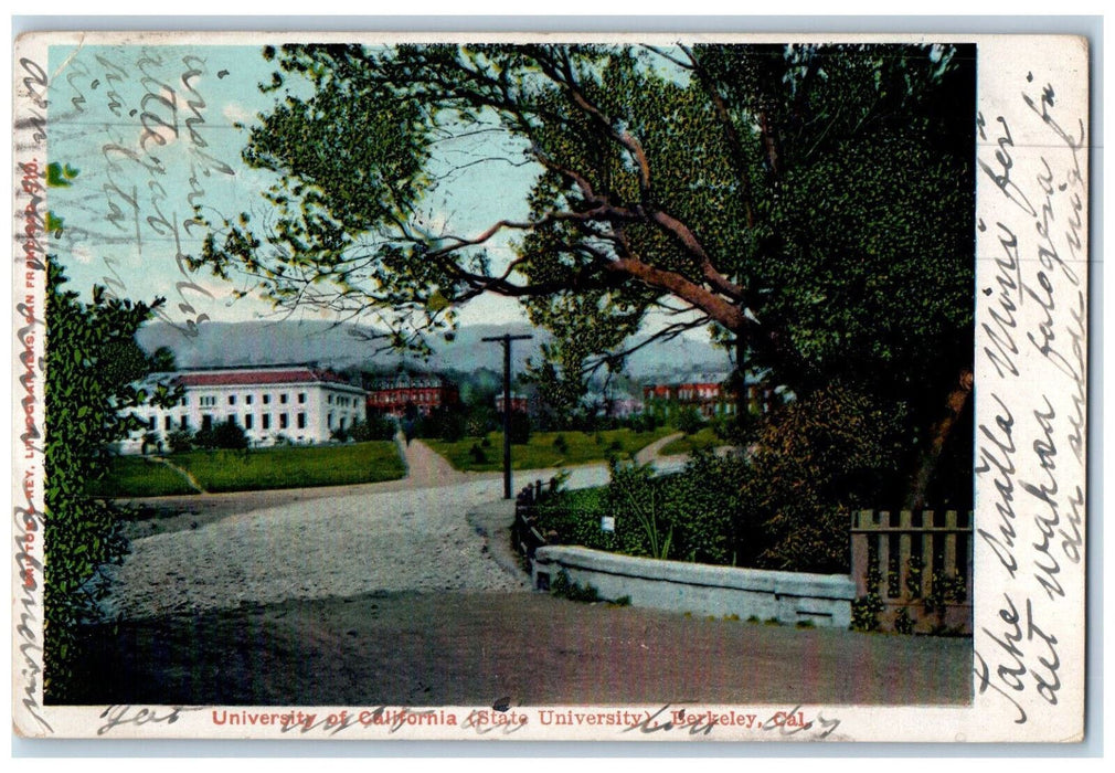 1906 View Of University Of California State University Berkeley CA Postcard