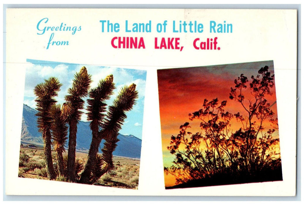 1971 Greetings From The Land Of Little Rain China Lake California CA Postcard