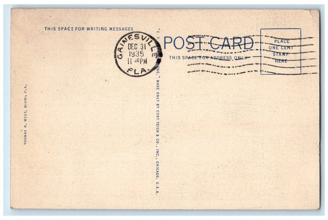 1935 Florida Everglades Scene Along Tamiami Trail Gainesville Florida Postcard